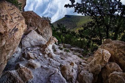 Прикрепленное изображение: wfdhKOWC6Mo.jpg